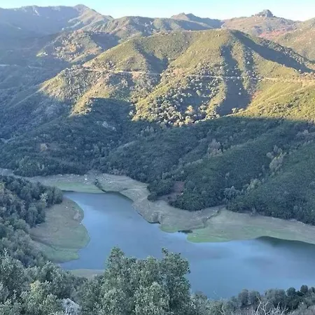 Chioselle